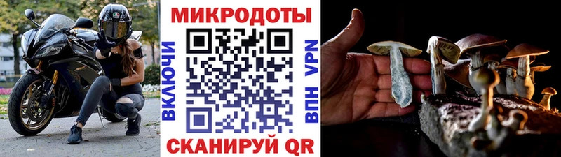 Купить где Ковров Галлюциногенные грибы мицелий